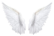 PNG  Pair Of Angel Wings White Bird White Background