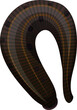 Leech dark brown striped bloodsucking worm alternative medical aid top view vector flat illustration