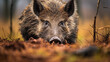 Wild Boar Foraging in Autumn Forest. Generative AI