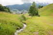 little creek in the pasture, landscape near Klosters Monbiel, tourist resort prattigau