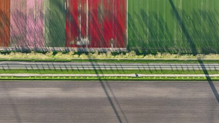 Wall Mural - drone view of a road in the middle of a field. landscape from a drone. road and transport. car traff