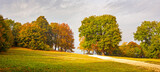 Fototapeta Uliczki - Panoramic autumn landscape with trees