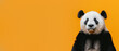 A curious panda bear with human-like facial expression set against a vibrant orange background captures attention