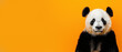 The contemplative gaze of the panda against the unmissable orange background elicits a human-like contact