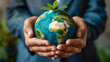 Sustainability nature planet world business, globe in palm of hand, Globe in hand