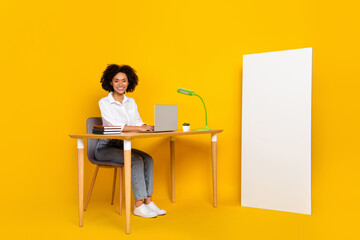 Poster - Portrait of attractive cheery skilled girl preparing finance report remote work copy space isolated over bright yellow color background