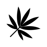 Fototapeta Dinusie - Bamboo leaf icon, isolated on white background.