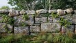 Attractive stone barrier