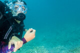 Fototapeta  - A beautiful red hair latina scuba diver diving underwater