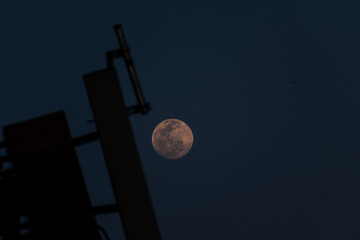 moon in the sky