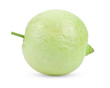 guava isolated on transparent png