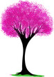 watercolor drawing of tree with pink leaf on white background. Vector illustration
