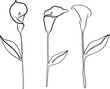 Continuous line drawing of flower with leaves. Vector illustration