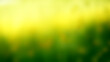 magic color green yelow nature blur abstract background gradient