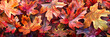 Vibrant Autumn Leaves on Wet Ground, Ideal for Seasonal Backgrounds and Highlighting the Rich Colors of Fall