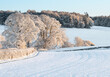 Snow covered fields and trees in the Scottish Borders, United Kingdom