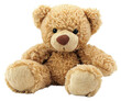 PNG Plush teddy bear toy.