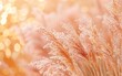 Peach fuzz is the color of the year for 2024, which complements the lush pampas grass growing in the background.
