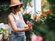 Casual gardener in a straw hat and overalls tending to vibrant pink flowers in a lush greenhouse environment