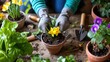 Gardening Bliss: Planting Daffodils in Spring