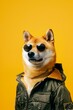 Shiba Inu Pilot Radiating Confidence in Aviator Style and Jet Fighter Jacket on a Vibrant Yellow Backdrop