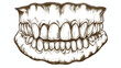 Teeth Gum engraving with monochrome color illustration