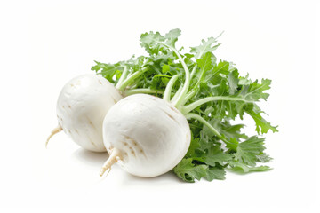 Kohlrabi (German turnip or turnip cabbage) two raw bulbs with fresh leaves isolated on white background