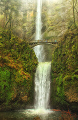 Wall Mural - Multnomah Falls