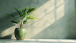 Realistic photograph of an elegant plant in a green pot, placed on the floor against a light gray wall with sun rays creating soft shadows