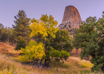 Wall Mural - Deveils Tower Alpine Glow