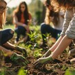A group of young people plant trees to reduce global warming