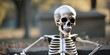 skeleton, looking_at_viewer, blurry, outdoors, solo, sitting, 1boy, skull, male_focus