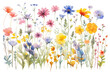 PNG Flowers painting outdoors pattern
