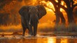 African Elephant In Water and Trees at Mana Pools NP, Zimbabwe in Africa - Generative AI