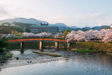 Fototapeta Desenie - Red bridge and sakura with hot spring hotel at sunrise, Ureshino