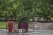 Tischgedeck mit Wasserglas, Kerze und Pflanze im Biergarten
