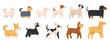 Cute dogs of different breeds set. Diverse small and medium doggies. Canine animals. Side view. Flat Vector illustration isolated on white background