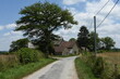 old farm with barns and tree near a gravel road in the French region of the Auvergne