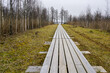 A long wooden boardwalk that leads across the marsh to the lake in early spring, perspective view
