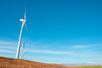 Wind turbine generators for sustainable electricity production