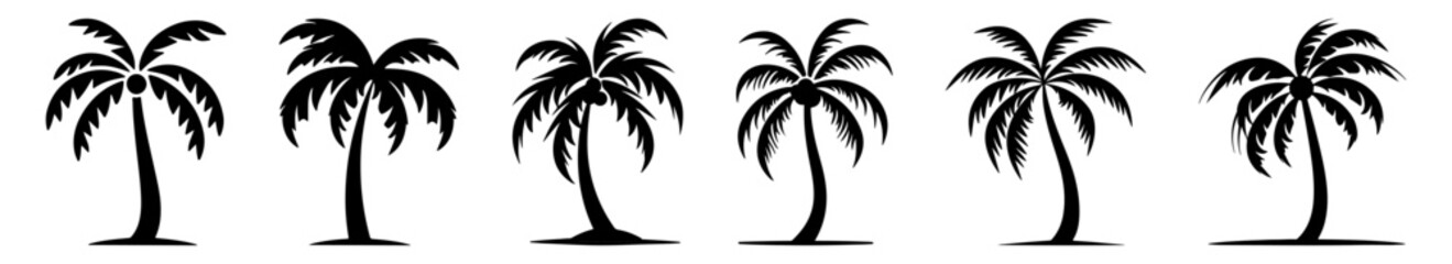 Collection of palm trees. Palm silhouettes. Vector illustration