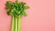 celery A photorealistic illustration against pastel pastel pink background with copy space for text or logo, beautifully illuminated by studio lighting 