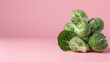 Brussels sprouts, a photorealistic illustration against pastel pastel pink background with copy space for text or logo, beautifully illuminated by studio lighting 