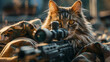 Cat holding sniper