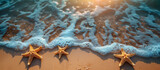 Fototapeta Tulipany - Vacation background. Sea beach with shells and starfish on sand. Summer holiday travel theme.	
