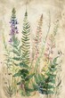 A vintage-inspired watercolor illustration featuring ferns and lupines, perfect for adding a touch of nature and elegance to any design project.