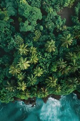 Wall Mural - A stunning aerial shot of palm trees against the backdrop of the ocean. Perfect for travel and vacation concepts