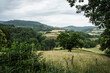 landscape in the Frenc h region of the Morvan with meadows and trees