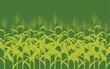 corn field illustration on green background