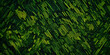 Digitaler Code-Regen: Matrixähnliche Komposition in Grün